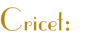 Cricet:
